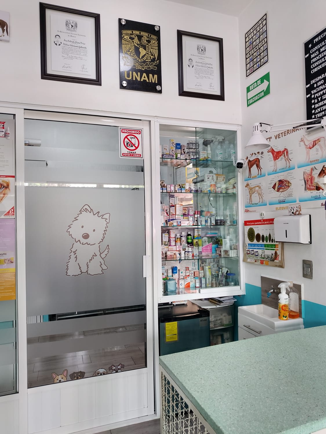 Consulta Veterinaria